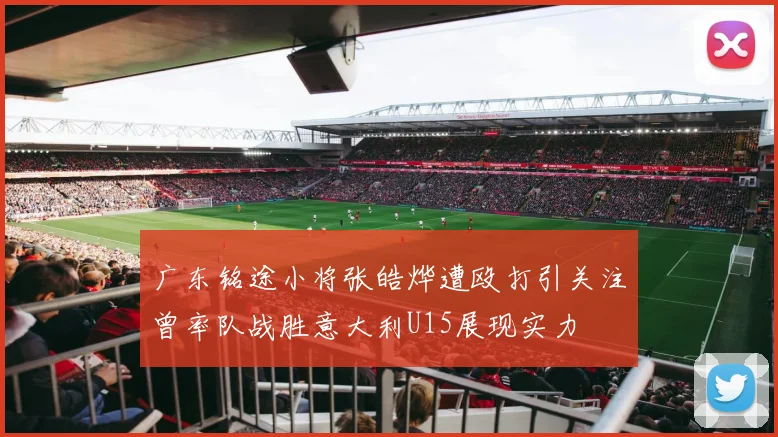 广东铭途小将张皓烨遭殴打引关注曾率队战胜意大利U15展现实力